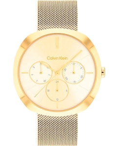 Купить Наручные часы Calvin Klein 25200339 в E-mobi