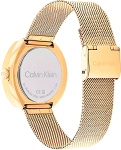 Купить Наручные часы Calvin Klein 25200339  в E-mobi