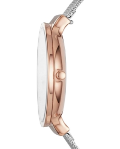 Купить Наручные часы Skagen SKW2616  в E-mobi