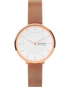 Купить Наручные часы Skagen SKW3013 в E-mobi