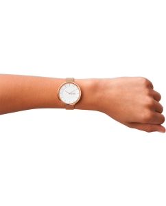 Купить Наручные часы Skagen SKW3013  в E-mobi
