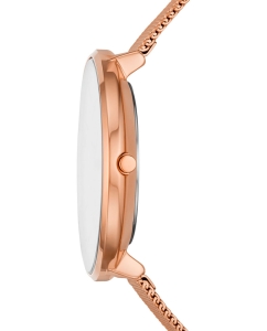 Купить Наручные часы Skagen SKW3013  в E-mobi