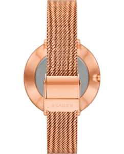 Купить Наручные часы Skagen SKW3013  в E-mobi