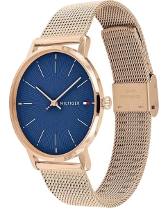 Купить Наручные часы Tommy Hilfiger 1782246  в E-mobi