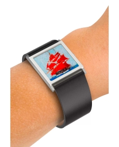 Купить Российские наручные часы Briller WU-SS-009  в E-mobi