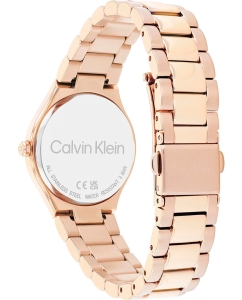 Купить Наручные часы Calvin Klein 25200334  в E-mobi