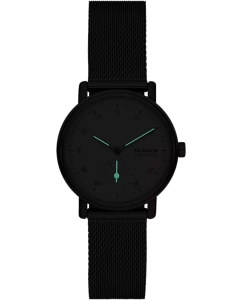 Купить Наручные часы Skagen SKW3100  в E-mobi