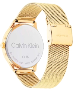 Купить Наручные часы Calvin Klein 25200372  в E-mobi