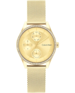 Купить Наручные часы Calvin Klein 25100011 в E-mobi