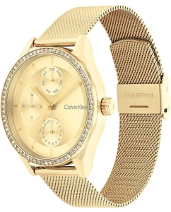 Купить Наручные часы Calvin Klein 25100011  в E-mobi