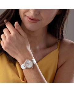 Купить Наручные часы Vivienne Westwood VV006RSWH  в E-mobi