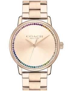 Купить Наручные часы COACH 14504064 в E-mobi