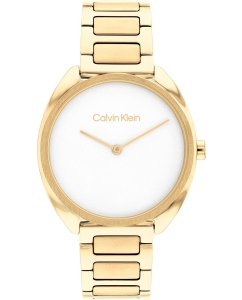 Купить Наручные часы Calvin Klein 25200276 в E-mobi