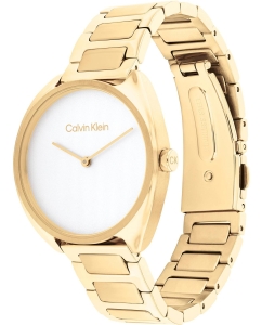Купить Наручные часы Calvin Klein 25200276  в E-mobi