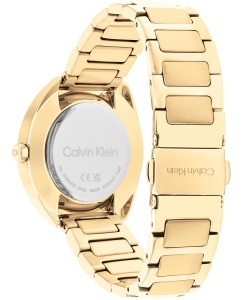 Купить Наручные часы Calvin Klein 25200276  в E-mobi