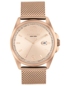 Купить Наручные часы COACH 14504253 в E-mobi