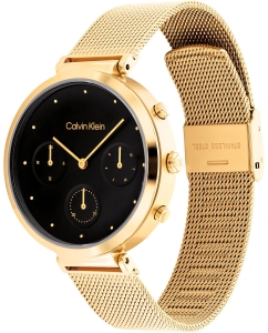 Купить Наручные часы Calvin Klein 25200287  в E-mobi
