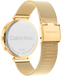 Купить Наручные часы Calvin Klein 25200287  в E-mobi
