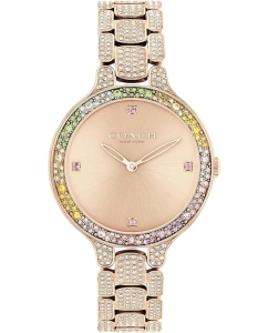 Купить Наручные часы COACH 14504166 в E-mobi