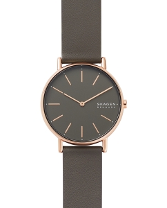 Купить Наручные часы Skagen SKW2794 в E-mobi