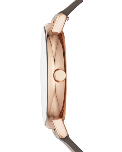 Купить Наручные часы Skagen SKW2794  в E-mobi