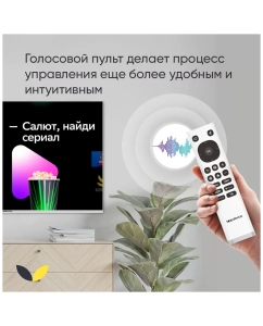 Купить Телевизор Top Device CS08, 32&quot;(81 см), FHD  в E-mobi