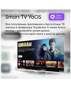 Купить Телевизор Top Device CS03, 16,9&quot;(43 см), UHD 4K  в E-mobi