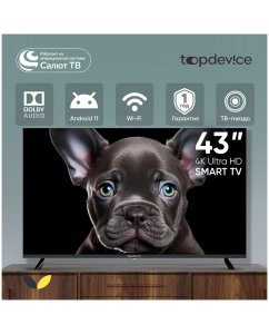 Купить Телевизор Top Device CS08, 43&quot;(109 см), UHD 4K  в E-mobi