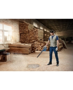 Купить Аккумуляторная воздуходувка Bosch GBL 18V-120 Solo 0.601.9F5.100  в E-mobi