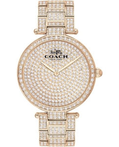 Купить Наручные часы COACH 14503428 в E-mobi