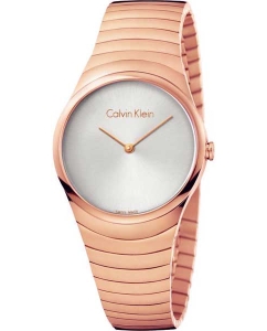 Купить Наручные часы Calvin Klein K8A23646-ucenka в E-mobi