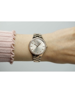 Купить Наручные часы Freelook FL.1.10254-2  в E-mobi