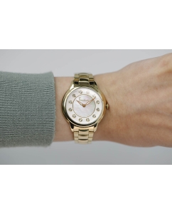 Купить Наручные часы Freelook FL.1.10247-4  в E-mobi