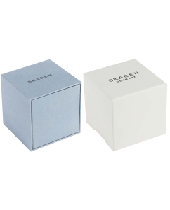 Купить Наручные часы Skagen SKW2147-ucenka  в E-mobi