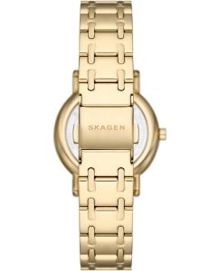 Купить Наручные часы Skagen SKW3124  в E-mobi