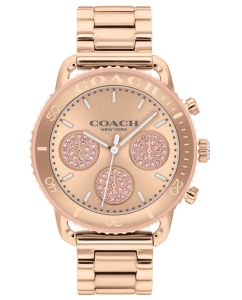 Купить Наручные часы COACH 14504255 в E-mobi