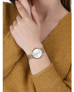 Купить Наручные часы Skagen Classic SKW2150  в E-mobi