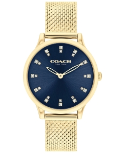 Купить Наручные часы COACH 14504218 в E-mobi