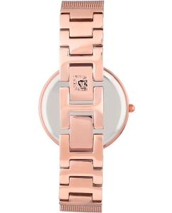 Купить Наручные часы Anne Klein 2972MPRG  в E-mobi