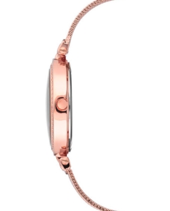 Купить Наручные часы Anne Klein 2972MPRG  в E-mobi