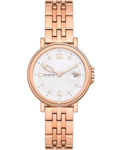 Купить Наручные часы Skagen SKW3136 в E-mobi