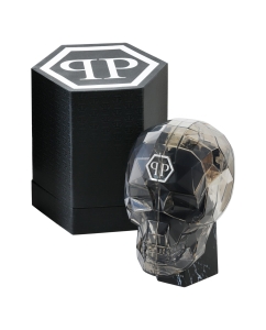 Купить Наручные часы Philipp Plein PWPOA0924  в E-mobi