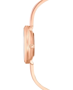 Купить Швейцарские наручные часы Swarovski 5642221  в E-mobi
