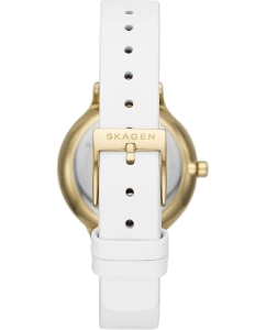 Купить Наручные часы Skagen SKW3138  в E-mobi