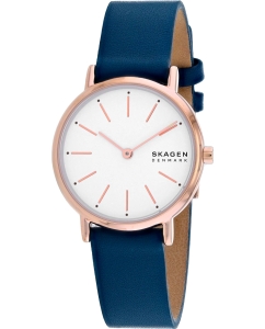 Купить Наручные часы Skagen SKW2838  в E-mobi