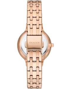 Купить Наручные часы Skagen SKW3128  в E-mobi