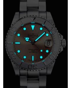 Купить Швейцарские механические наручные часы DAVOSA DAV.16619980  в E-mobi
