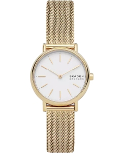 Купить Наручные часы Skagen SKW2693 в E-mobi