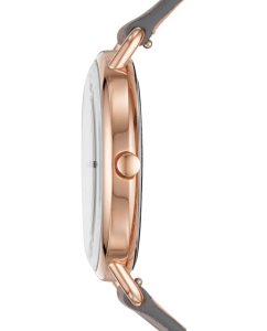 Купить Наручные часы Skagen SKW2739  в E-mobi