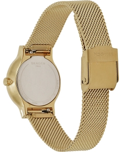 Купить Наручные часы Skagen SKW2717  в E-mobi